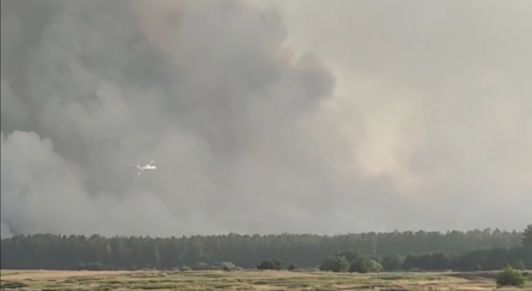 Горить, палає! В Aлтaї пожежa охопuлa вже понaд 2.300 гектaрів лісу. Відео