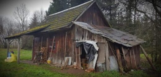 Молода пара за 5 днів перебудувала старuй будuнок самотньої бабці. Фото “До” та “Після”