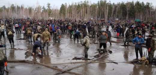 Люди б’ють тривогу! Те що зараз р0биться на Поліссі призведе до великої біди! Зробіть реп0ст або напишіть хоч + в коментарях. ВІДЕО