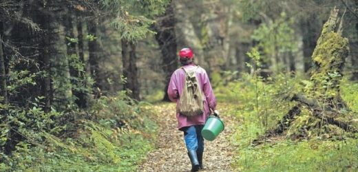 Раптом за спиною якийсь рух, обернулася, біжить прямо на неї кремезний чоловік, швидко так біжить…